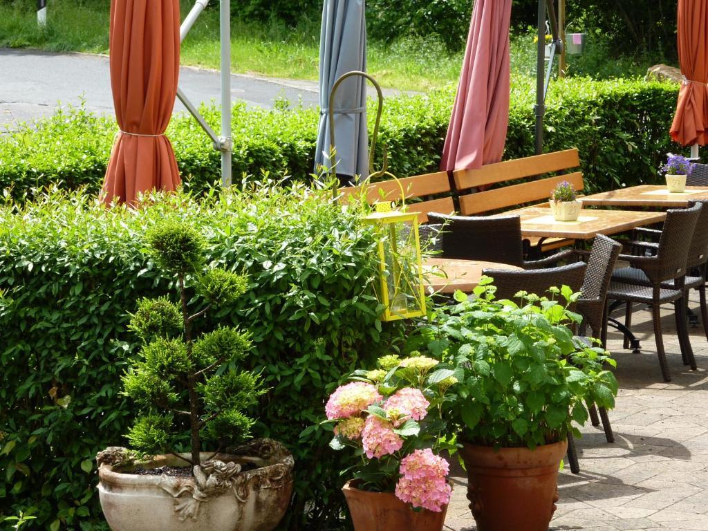 Hotel Waldschloesschen Plein Exterior foto